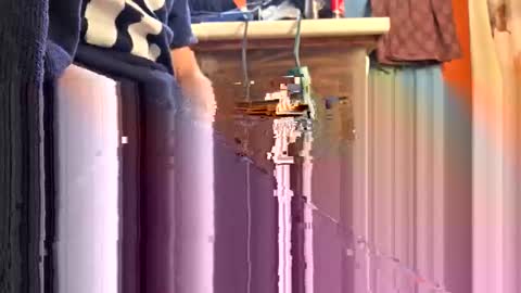 swinginghammer1987 online show from April 11, 2026, 9:41 pm