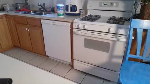 Snapshot of switchykitty chatting on December 8, 2024, 7:11 pm ashley blayde online show from December 8, 2024, 7:11 pm