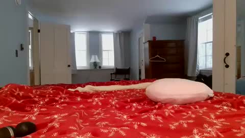 Snapshot of switchykitty chatting on February 6, 2025, 8:45 pm ashley blayde online show from February 6, 2025, 8:45 pm