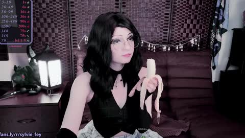 Sylvie online show from January 27, 2025, 2:53 am