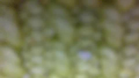 Snapshot of t__o__m__m__y__2323 chatting on May 29, 2026, 1:42 pm Prostate Orgazmer online show from May 29, 2026, 1:42 pm