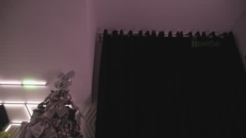 Snapshot of taanni_bc chatting on February 5, 2025, 8:21 am TAANNI online show from February 5, 2025, 8:21 am