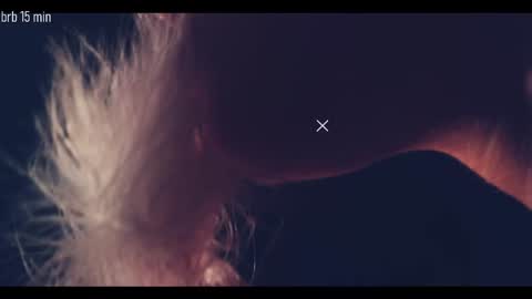 Snapshot of taanni_bc chatting on September 18, 2025, 10:34 pm TAANNI online show from September 18, 2025, 10:34 pm