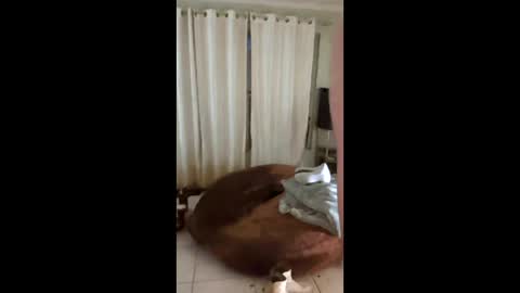 tab7exp online show from March 21, 2026, 1:21 am