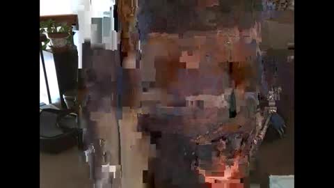 Snapshot of taco456 chatting on March 6, 2025, 3:13 pm New cock ring for extra pleasure online show from March 6, 2025, 3:13 pm