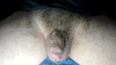 mr taco online show from February 13, 2025, 3:35 pm