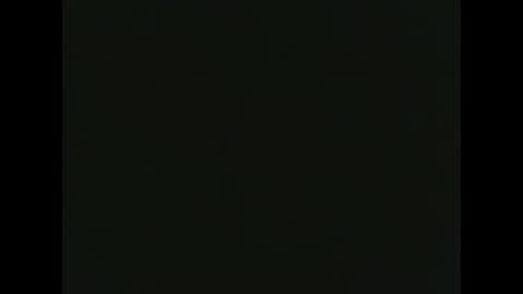 tacozod online show from January 17, 2025, 1:36 am