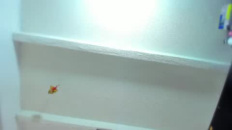 Tafari Zulu online show from April 22, 2026, 11:01 am