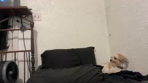 Talen James online show from September 28, 2025, 10:26 pm