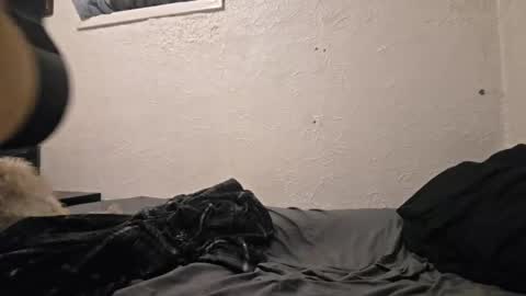 Talen James online show from April 18, 2026, 9:48 pm