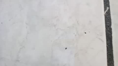 tall6feet7inch online show from September 14, 2025, 11:42 am