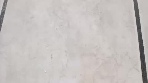 tall6feet7inch online show from September 21, 2025, 8:16 am