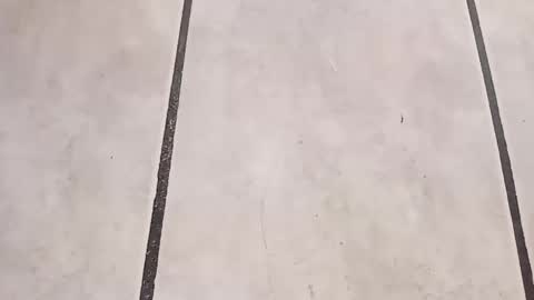 tall6feet7inch online show from September 24, 2025, 10:29 am