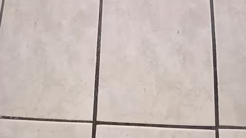 tall6feet7inch online show from September 28, 2025, 8:03 pm