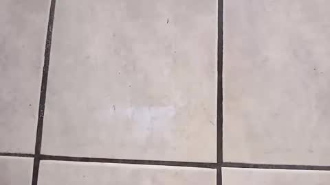 tall6feet7inch online show from October 2, 2025, 9:27 am