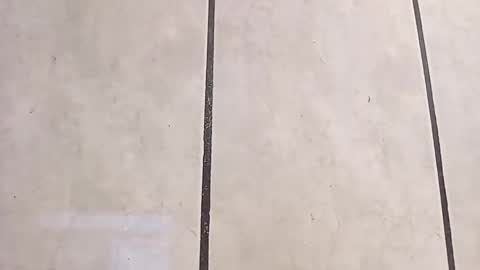 tall6feet7inch online show from October 6, 2025, 12:02 pm