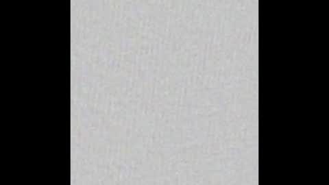 Aligator online show from January 4, 2025, 3:28 pm