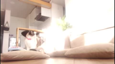 Tamara online show from September 14, 2025, 9:58 pm