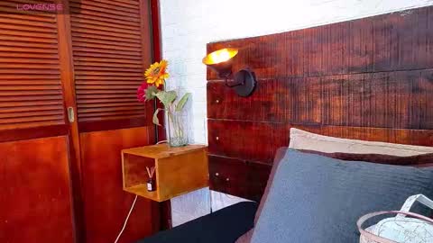    online show from November 13, 2025, 10:47 am