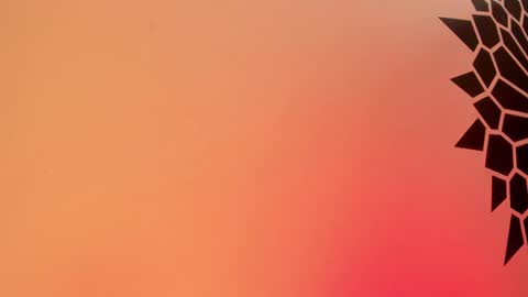 Tamara. online show from February 25, 2025, 3:49 pm