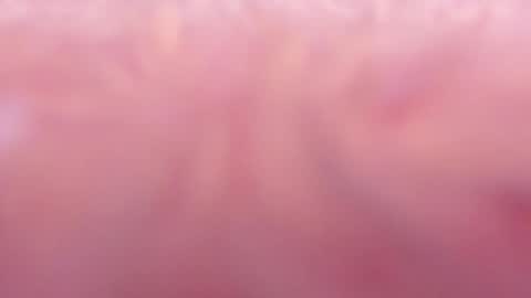 Tamy ian online show from January 31, 2025, 10:42 pm