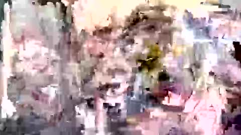 Tara online show from November 19, 2025, 2:44 am