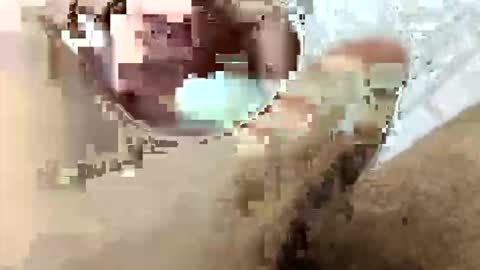 tarek088 online show from April 30, 2026, 11:09 pm