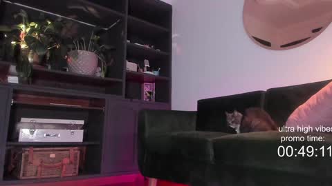 Nathalie Hardy  online show from December 2, 2024, 10:23 pm