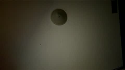 Snapshot of tattoosnsmoke1111 chatting on December 3, 2025, 8:34 am tattoosnsmoke1111 online show from December 3, 2025, 8:34 am