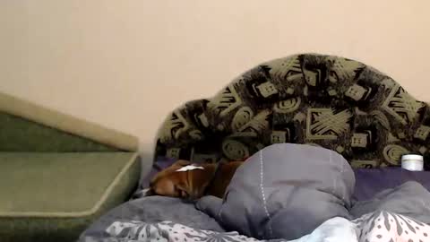 Taya online show from February 4, 2025, 11:27 pm