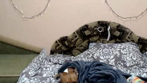 Taya online show from January 5, 2026, 8:34 pm