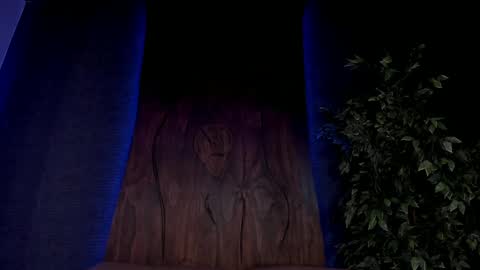 Taylor  Help me to get 100 thumbs up online show from December 7, 2024, 2:24 pm