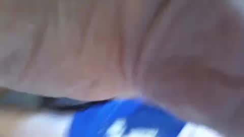 ThrobbingC online show from October 14, 2025, 4:19 pm