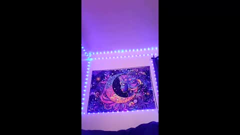 tedestep2 online show from April 17, 2026, 2:14 am