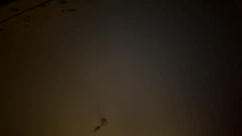 teecup4osk online show from February 8, 2026, 4:38 am