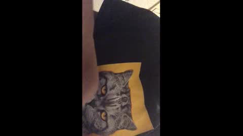 Snapshot of tericmidnight chatting on December 17, 2025, 12:27 am Call me Jason online show from December 17, 2025, 12:27 am