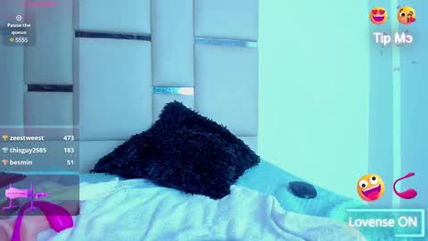 Snapshot of thaily01 chatting on February 14, 2025, 8:31 am Thaily online show from February 14, 2025, 8:31 am