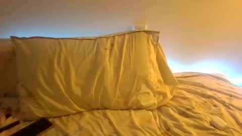 Snapshot of the_borderlands chatting on December 19, 2025, 4:25 pm the crazy travellers online show from December 19, 2025, 4:25 pm