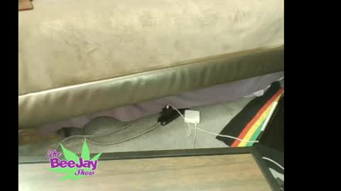 TheBeeJayShow online show from May 23, 2026, 1:48 pm