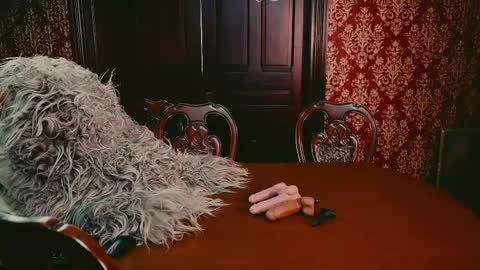 Joan online show from May 9, 2026, 8:58 pm