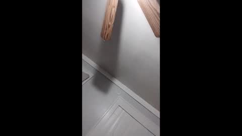 Snapshot of thedailyshower chatting on March 9, 2026, 6:06 am thedailyshower online show from March 9, 2026, 6:06 am