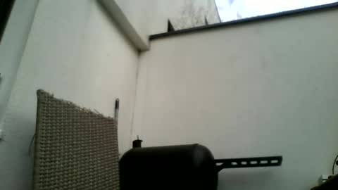 Snapshot of theforkliftman chatting on March 22, 2026, 12:41 pm theforkliftman online show from March 22, 2026, 12:41 pm