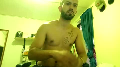 thehousedog online show from February 18, 2025, 2:49 pm