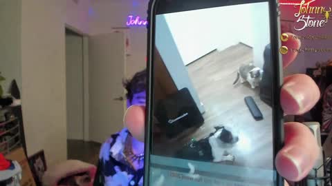 Johnny Stone online show from December 29, 2024, 1:13 am