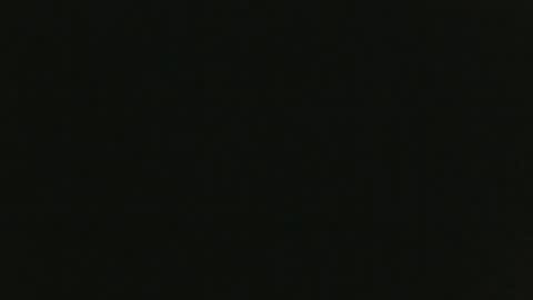 JohnSilver online show from December 8, 2024, 5:44 pm