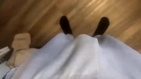 theplummer99 online show from October 11, 2025, 1:53 pm