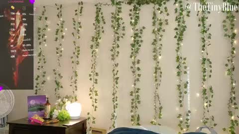 Tiny Blue online show from February 12, 2025, 5:48 pm