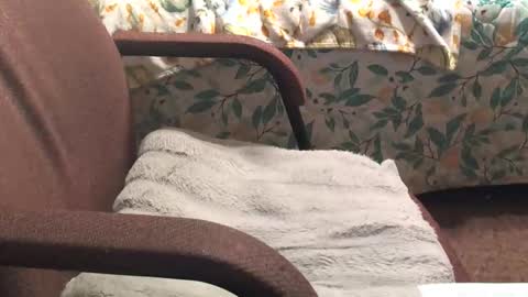 thetnguy online show from April 20, 2026, 12:46 am