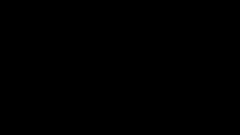 thiago_driussi online show from November 12, 2025, 9:36 pm