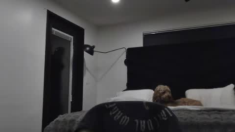 thiccbull12 online show from June 29, 2026, 7:58 am